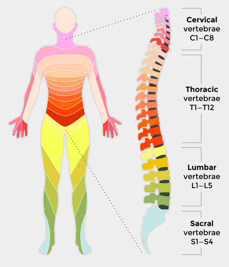 what-is-a-spinal-inury-clca-nursing-01743-460957